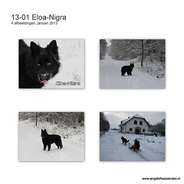 Eloa-Nigra in de Poolse sneeuw